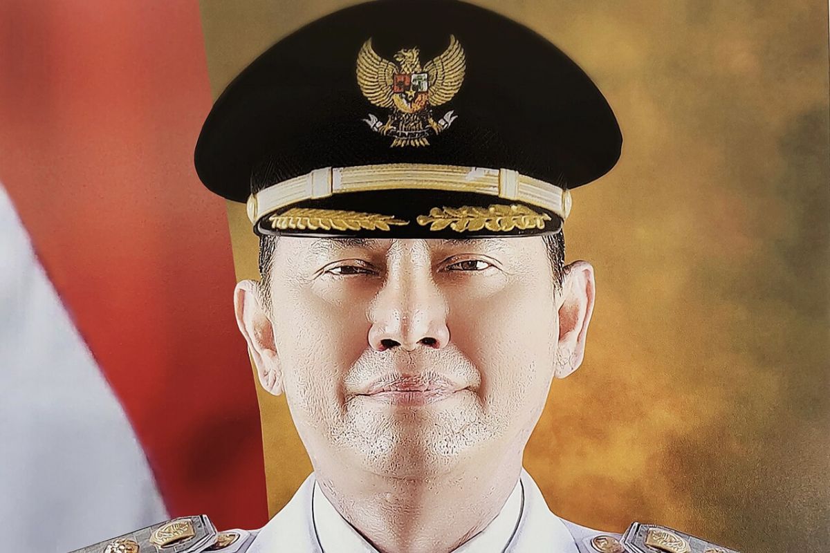 Sosok Ali Rahman: Bupati Way Kanan yang baru dilantik meninggal dunia