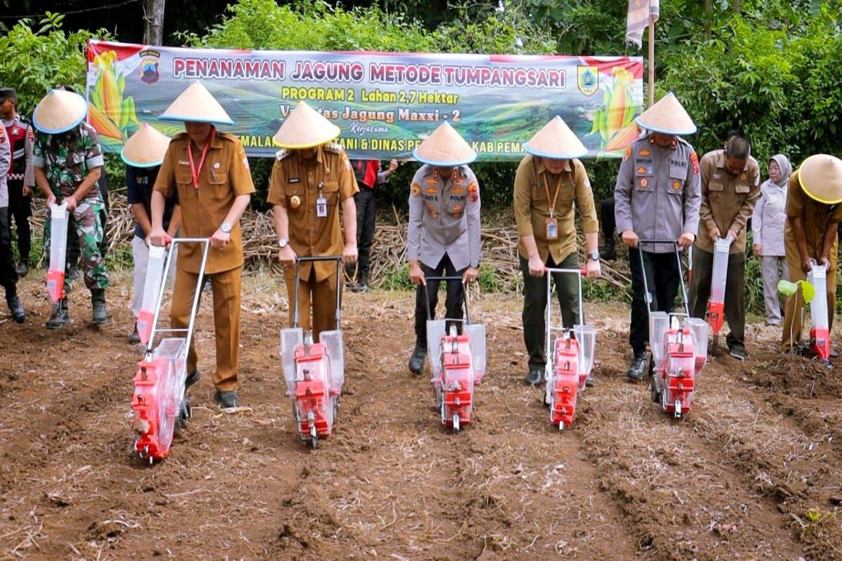 Polres Pemalang tanam jagung sistem tumpangsari di lahan 2,7 hektare