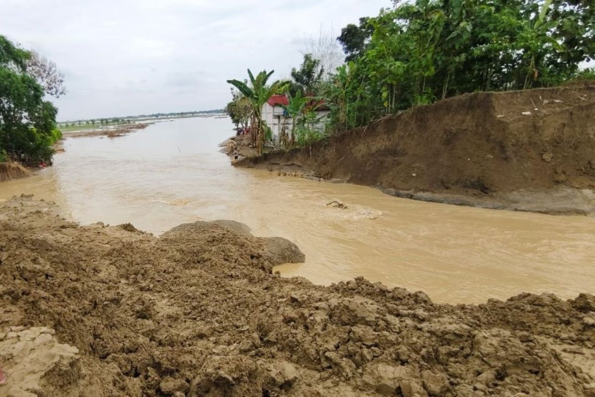 Tanggul Sungai Tuntang di Kabupaten Grobogan kembali jebol