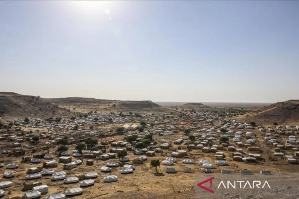 Utusan Sudan: Dewan Keamanan PBB harus selidiki genosida di Darfur