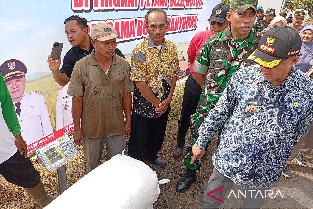 Bupati Banyumas ajak petani jual gabah hasil panen  ke Bulog