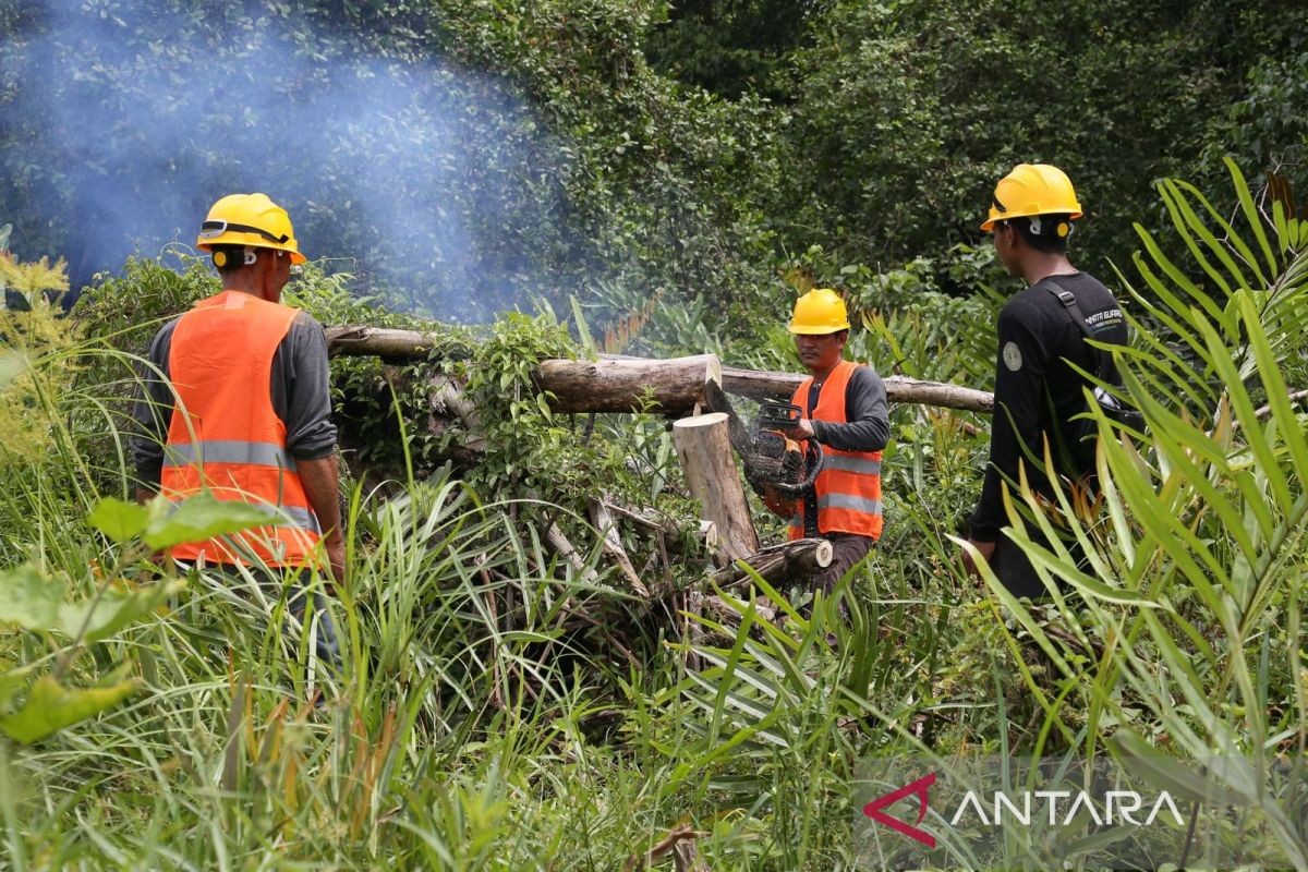 Begini manfaat program cofiring biomassa buka lapangan kerja baru di Aceh Jaya