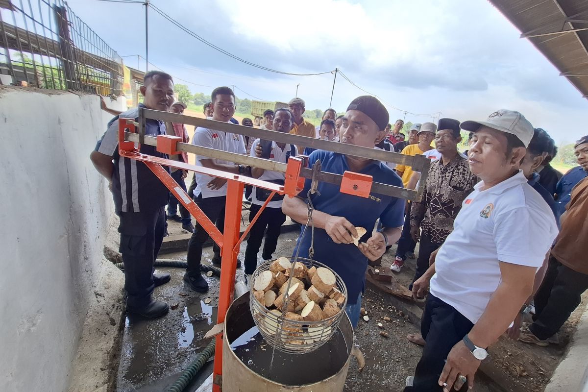 DPRD Lampung sebut rumusan harga singkong nasional telah dirancang