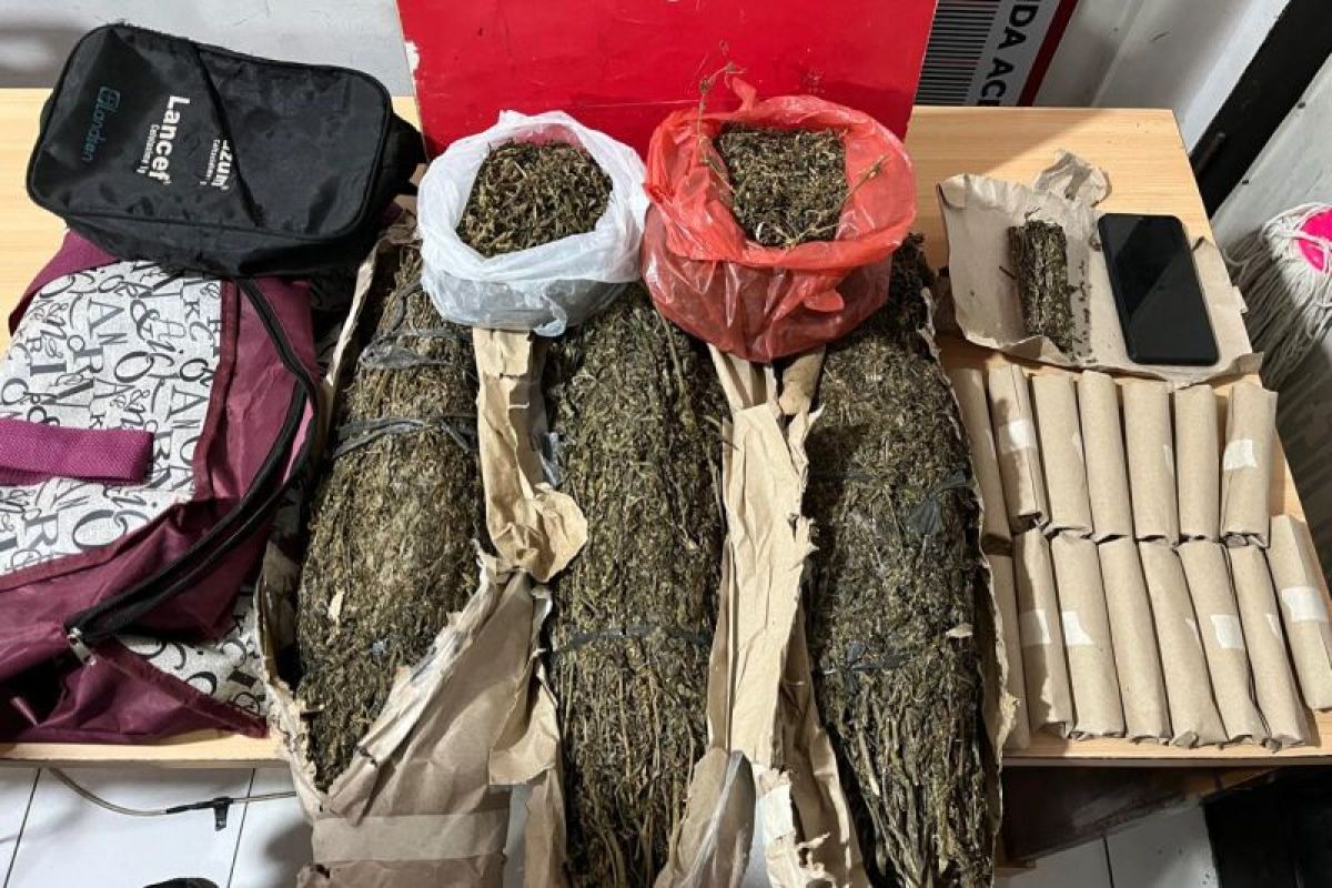 Polresta Banda Aceh tangkap pembawa 3,7 kg ganja