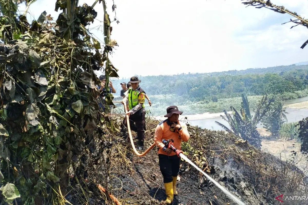 Tujuh daerah di Sumsel waspada karhutla saat kemarau panjang
