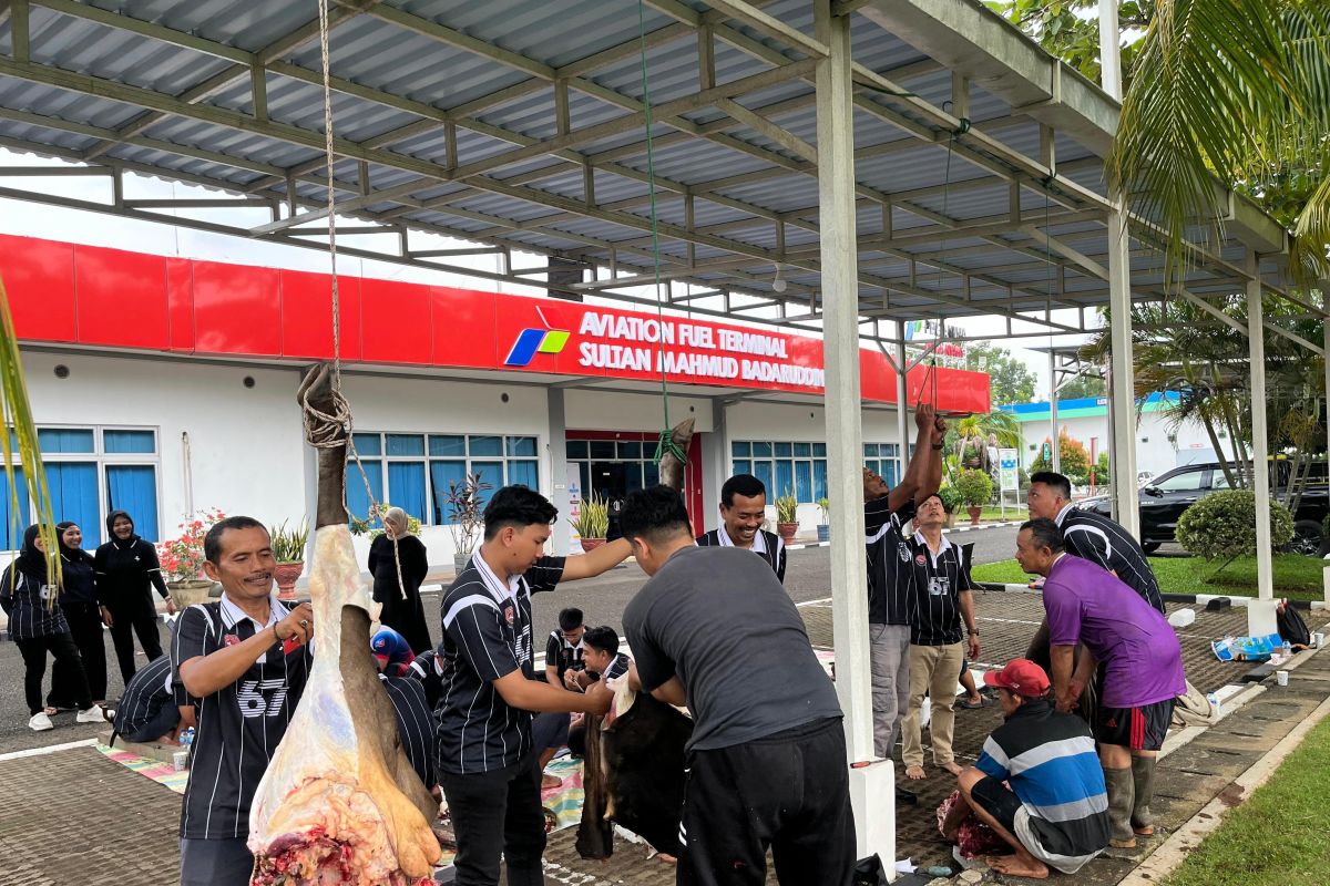 Pertamina Sumbagsel salurkan bantuan 107 hewan kurban