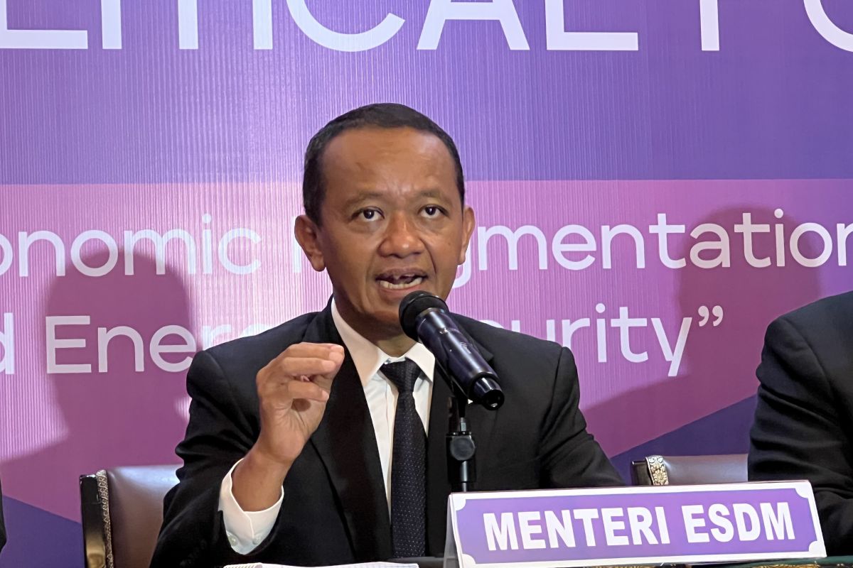 Kerja sama RI-Rusia makin erat, Indonesia tetap bebas aktif