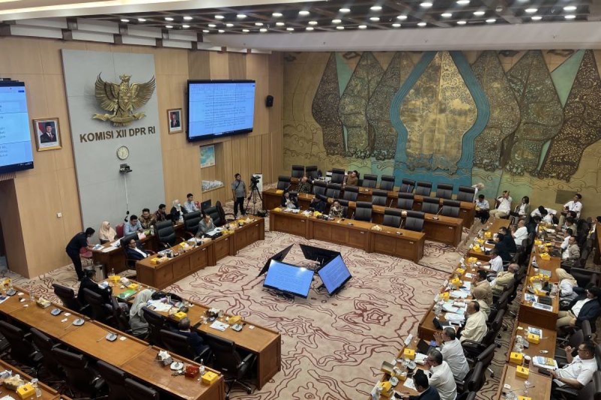 Kementerian ESD catat pendistribusian LPG 3 kg capai 3,49 juta ton