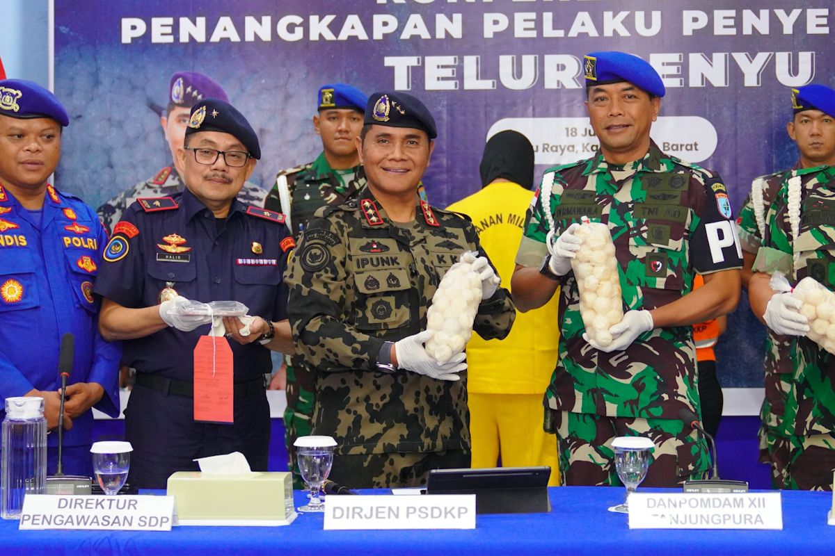 KKP ungkap kerugian penyelundupan telur penyu di Kalbar Rp9,6 miliar