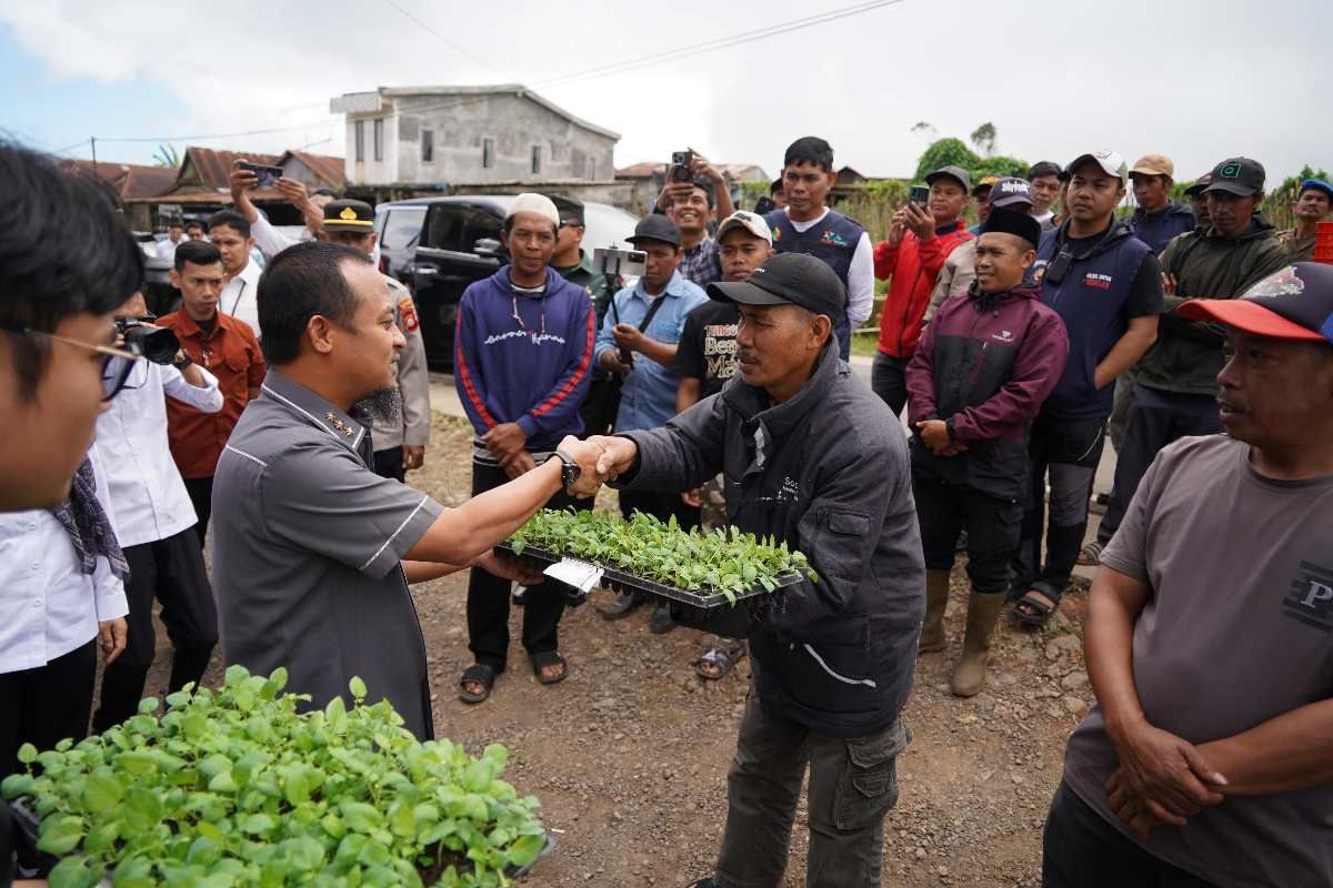 Gubernur Sulsel serahkan 350 ribu benih kentang untuk tiga kabupaten