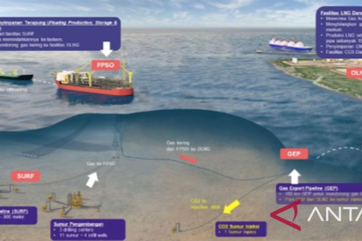 Masela dan transisi energi jadi prioritas pembahasan Indonesia-Jepang