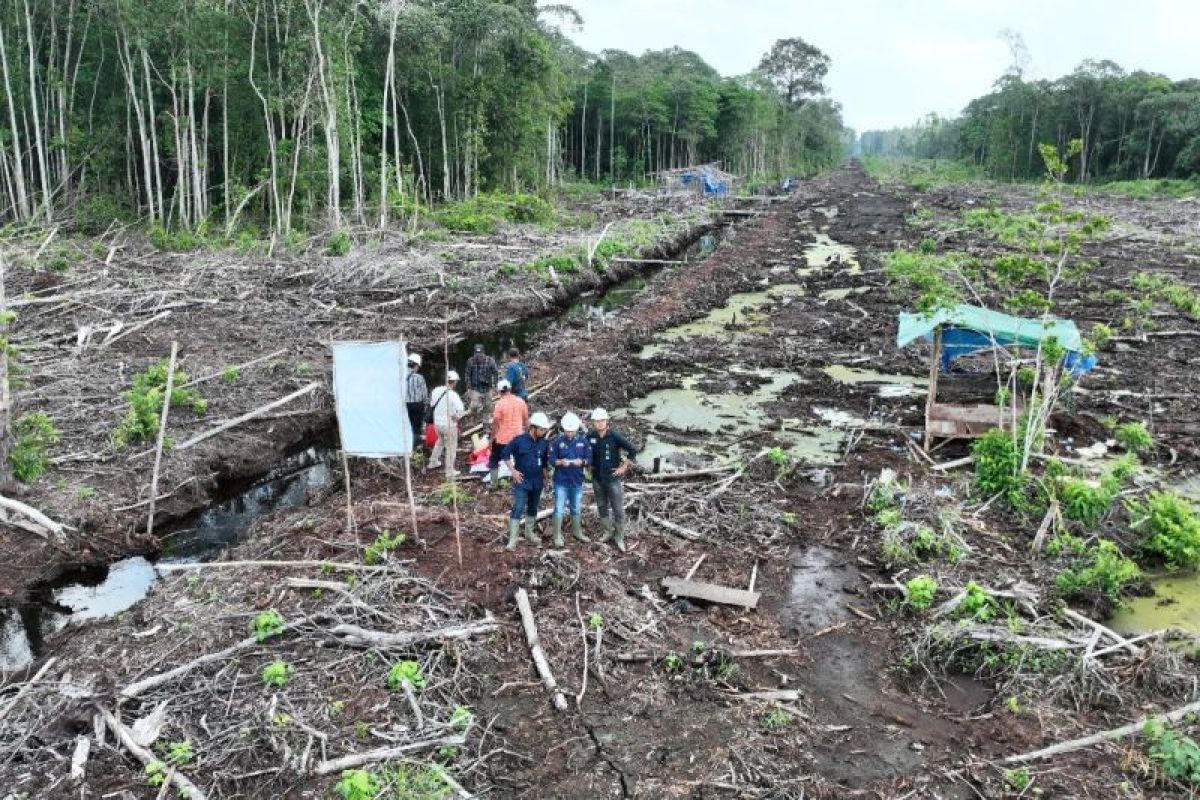 Gakkum Kemenhut segel 80 hektare areal hutan terbakar di Sumsel