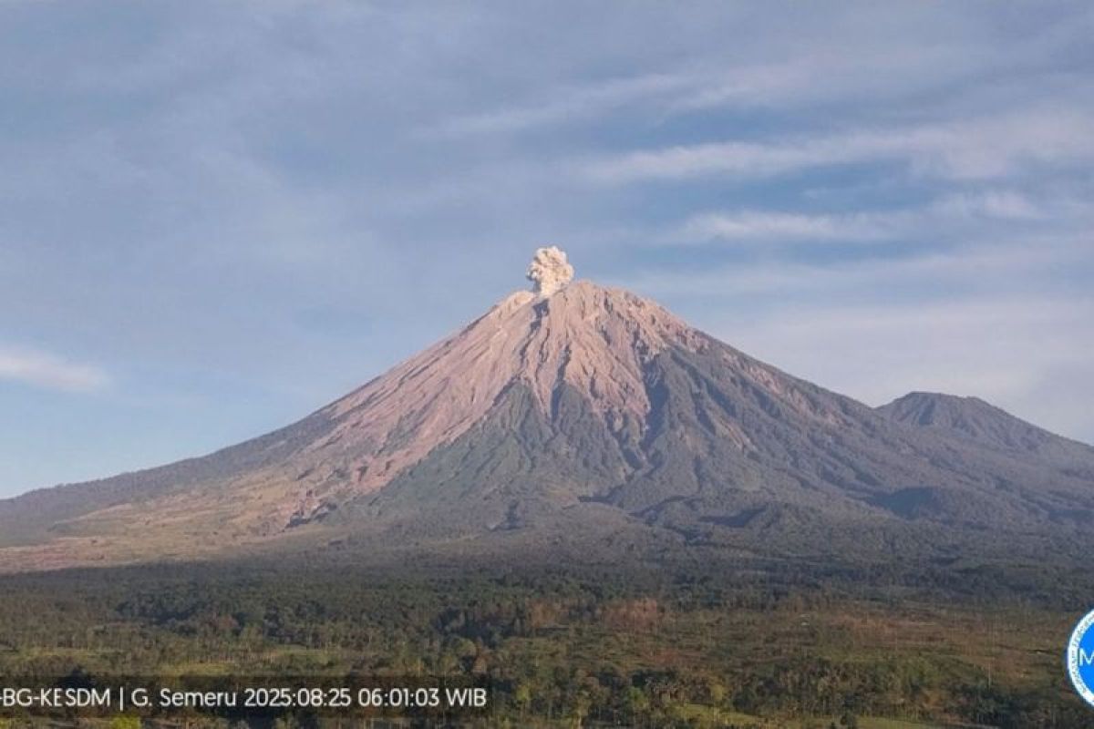 Gunung Semeru kembali erupsi dengan letusan setinggi 700 meter