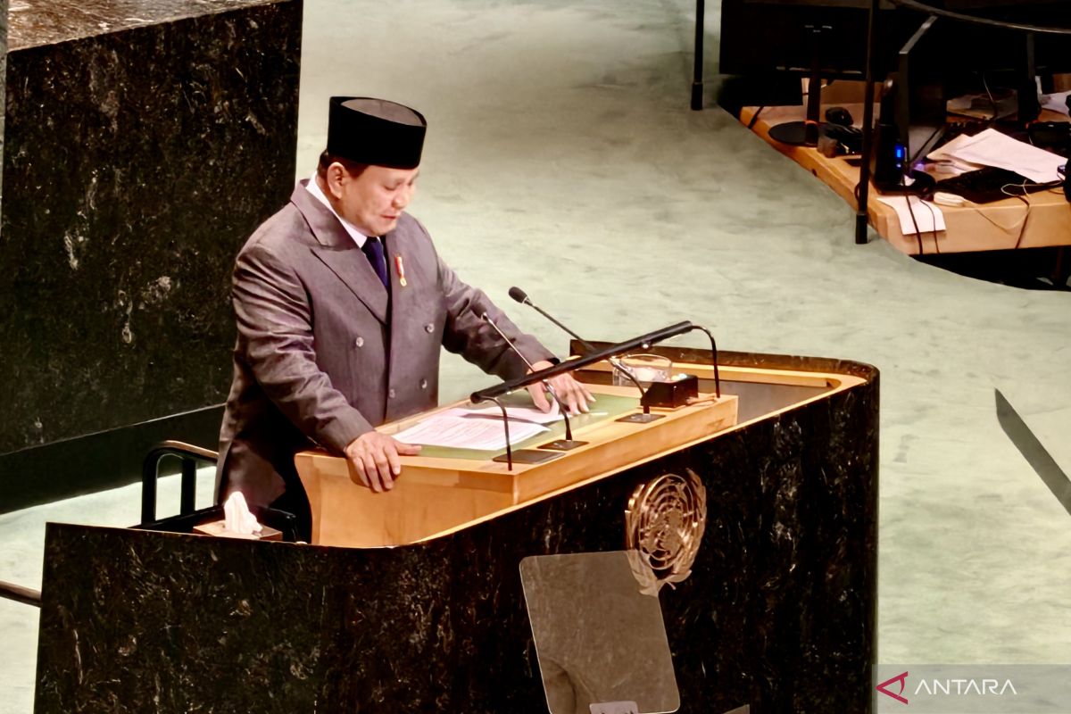 Presiden Prabowo buka opsi akui Israel, jika Israel akui Palestina