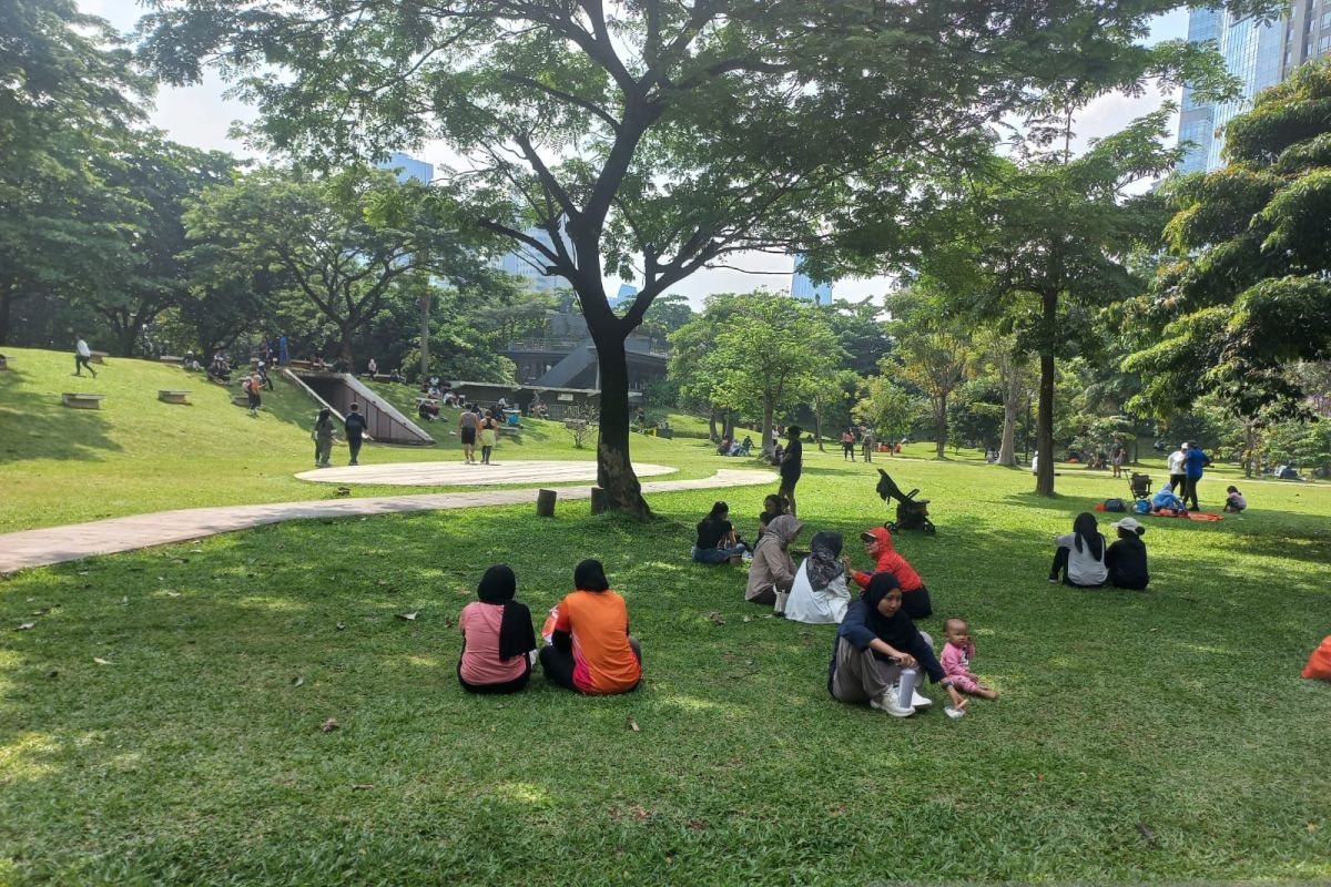 Hutan Kota GBK: Tempat bersantai di tengah keramaian
