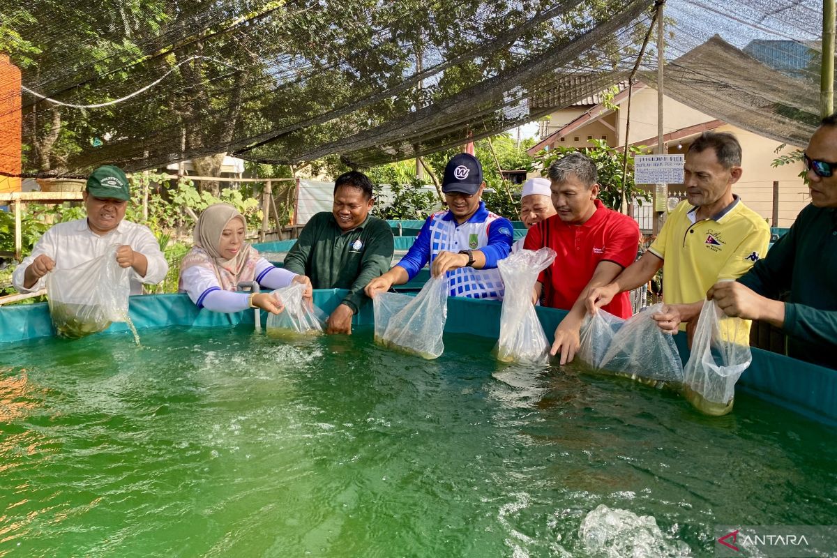 Diskan Batam salurkan bantuan kelompok budi daya ikan senilai Rp2,7 M