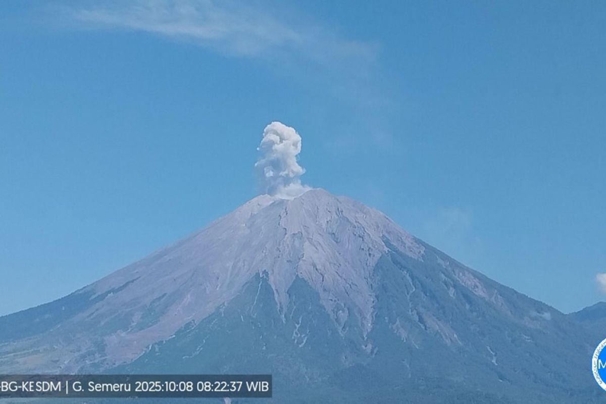 Gunung Semeru erupsi dengan tinggi letusan 700 meter di atas puncak