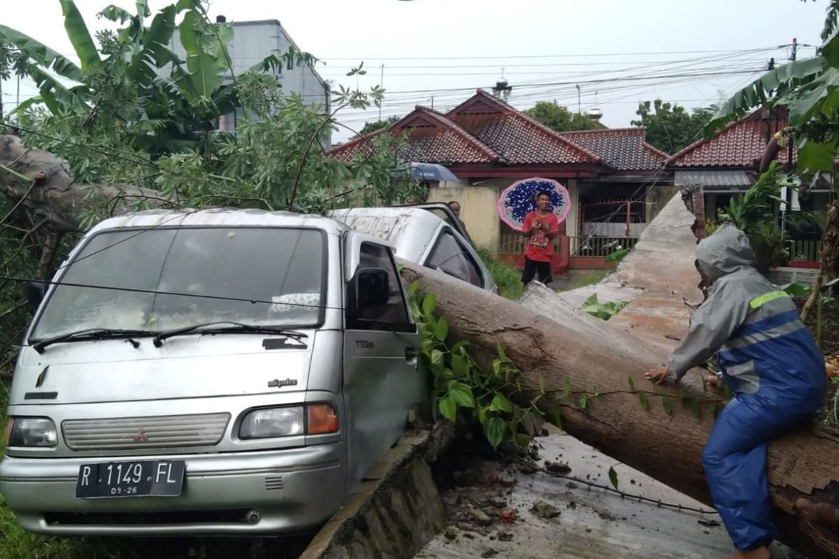 Cuaca ekstrem, sejumlah pohon tumbang dan rumah rusak di Purbalingga