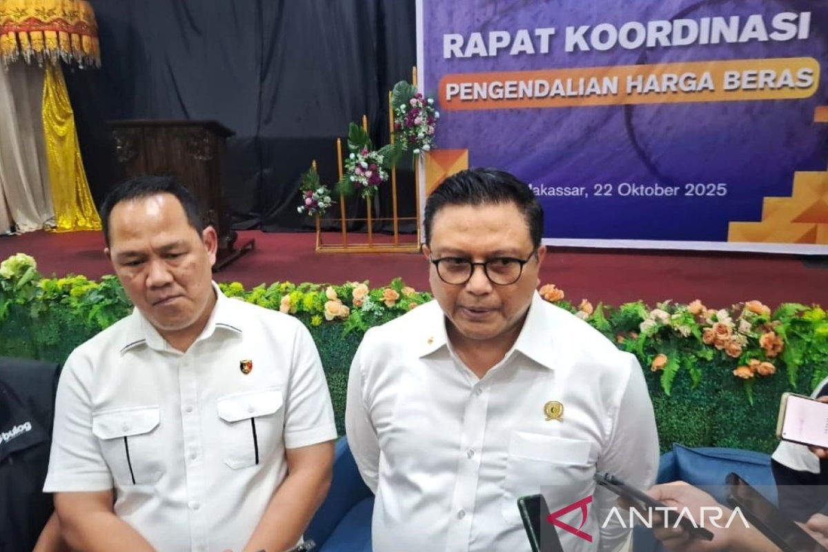 Bapanas ancam berlakukan sanksi pidana mainkan pangan beras