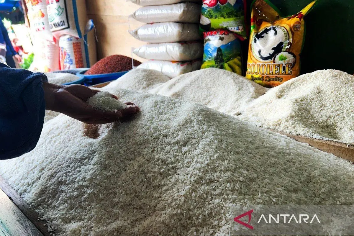 Kopdes Merah Putih Metuk pasok gas hingga beras murah bagi warga