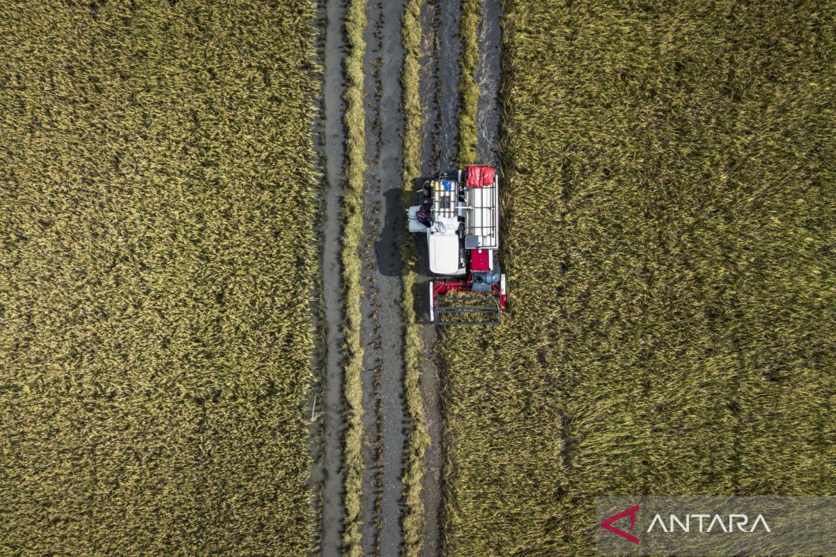 Bersiap menyambut panen raya 2026
