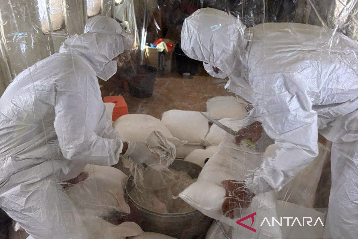 DKI kemarin, modifikasi cuaca hingga puncak flu musiman