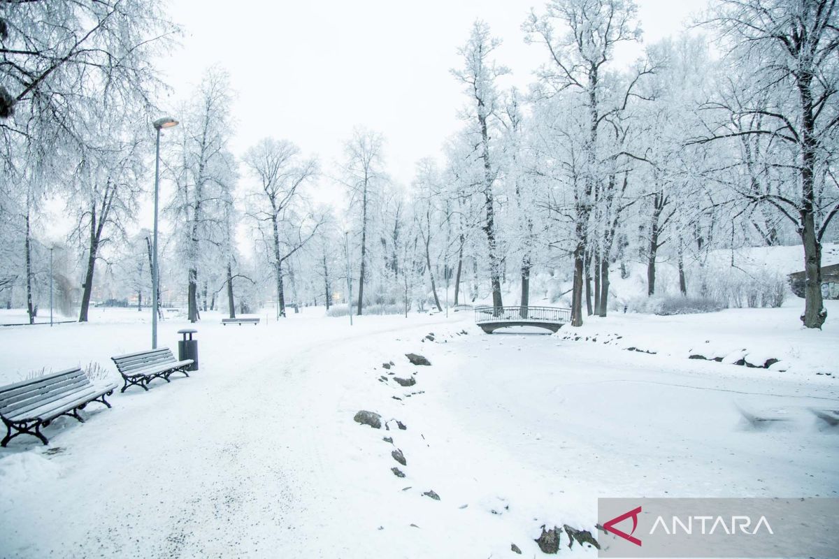Pemandangan taman yang membeku di Latvia