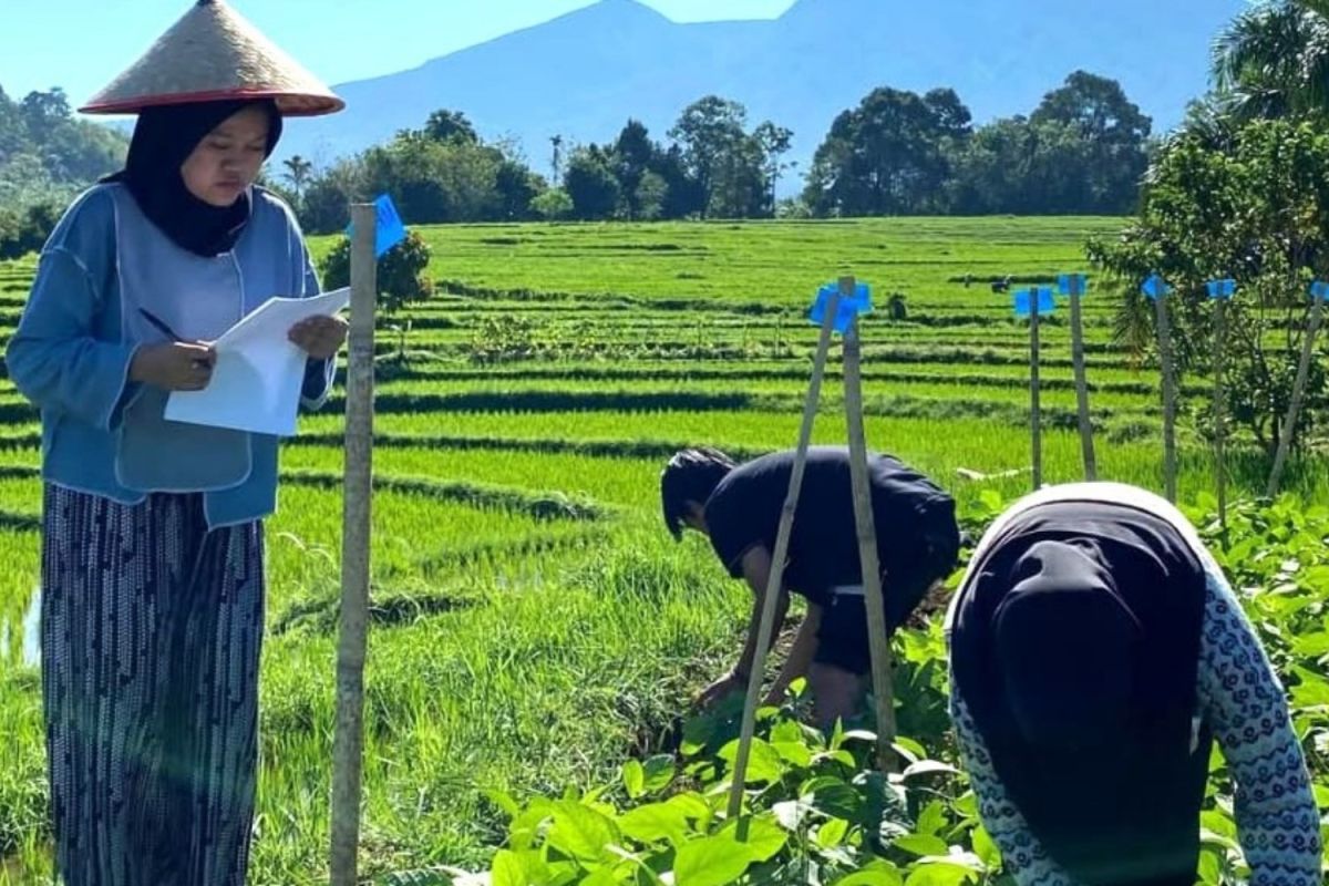 UNIB buka S1 Penyuluhan Pertanian siapkan SDM pertanian-pesisir