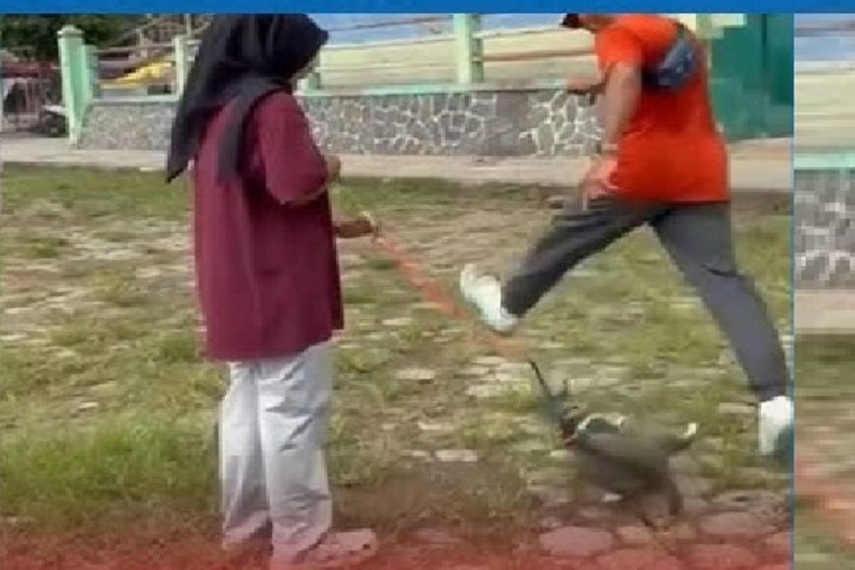 Polisi periksa terduga pelaku kasus kucing ditendang hingga tewas