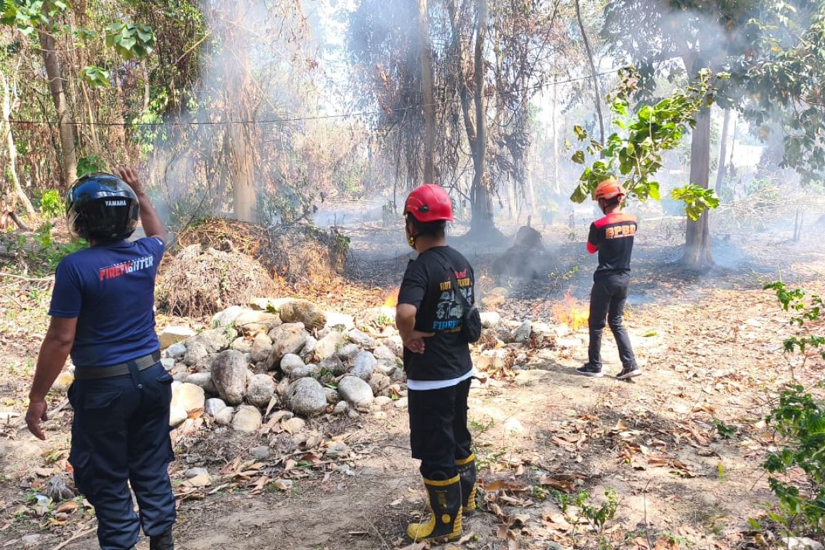 BPBD Sulteng tetapkan status siaga karhutla di Parigi Moutong