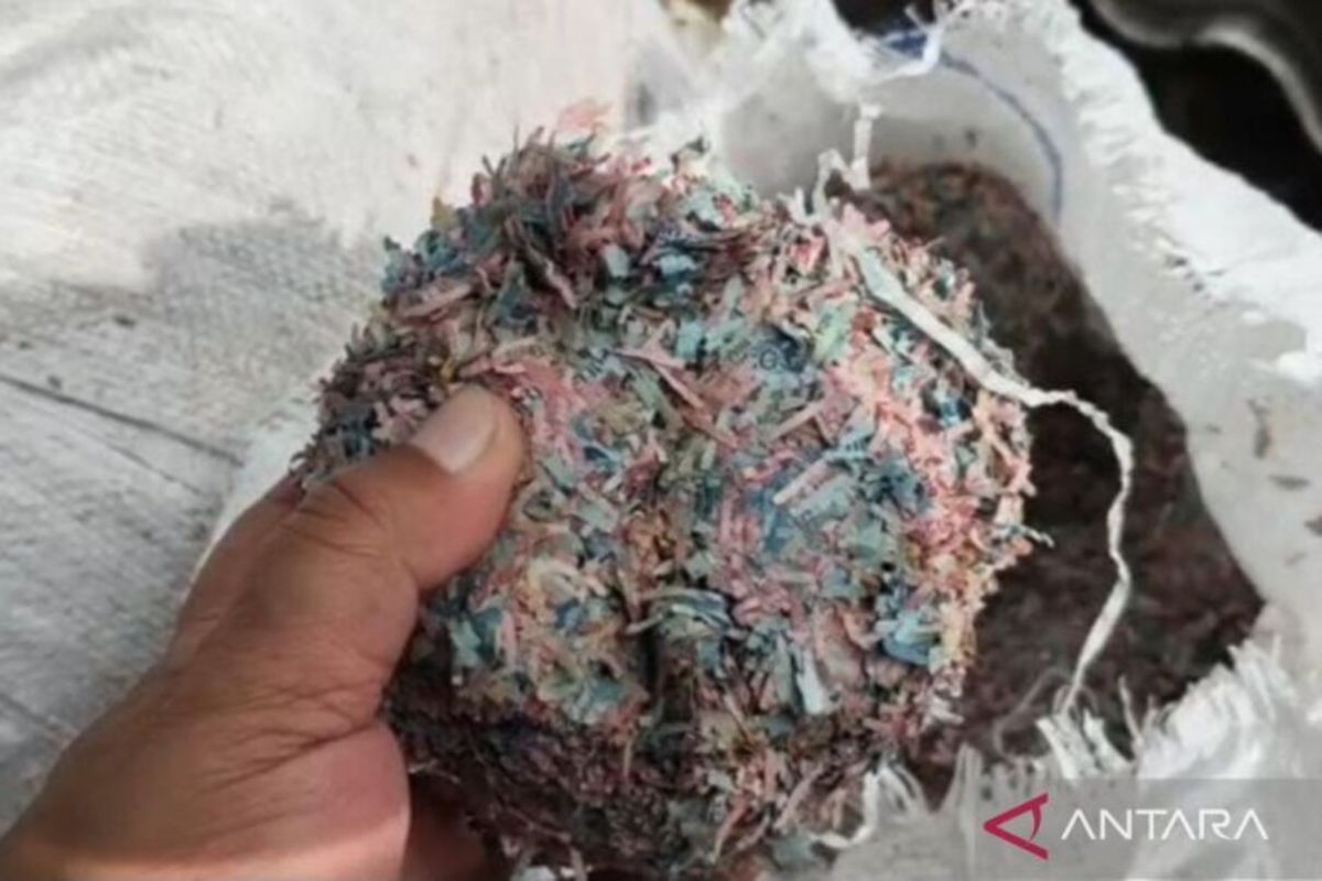 BI koordinasi dengan pihak terkait soal limbah uang dibuang di Bekasi