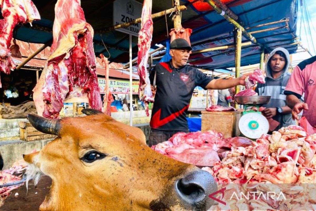 Pemkab Aceh Barat terima Rp1 miliar dari Presiden untuk bantuan daging