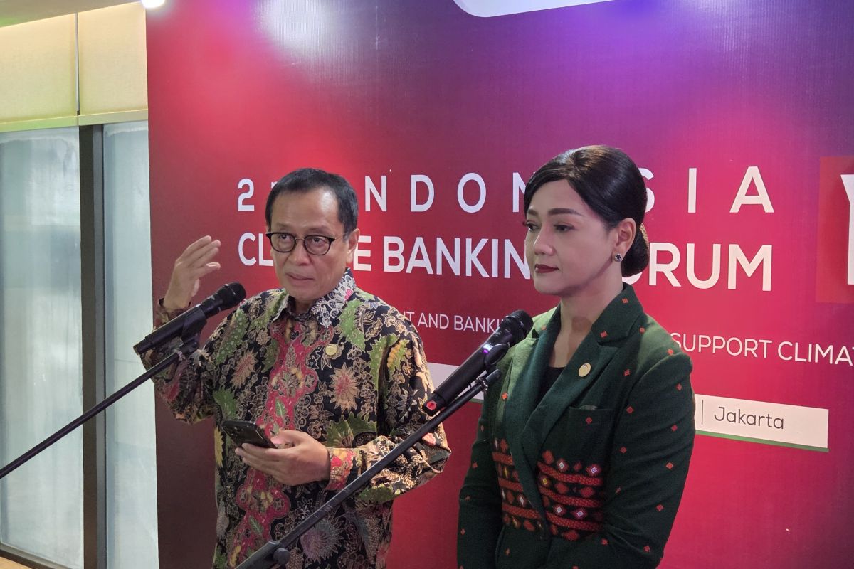 OJK nilai fenomena 