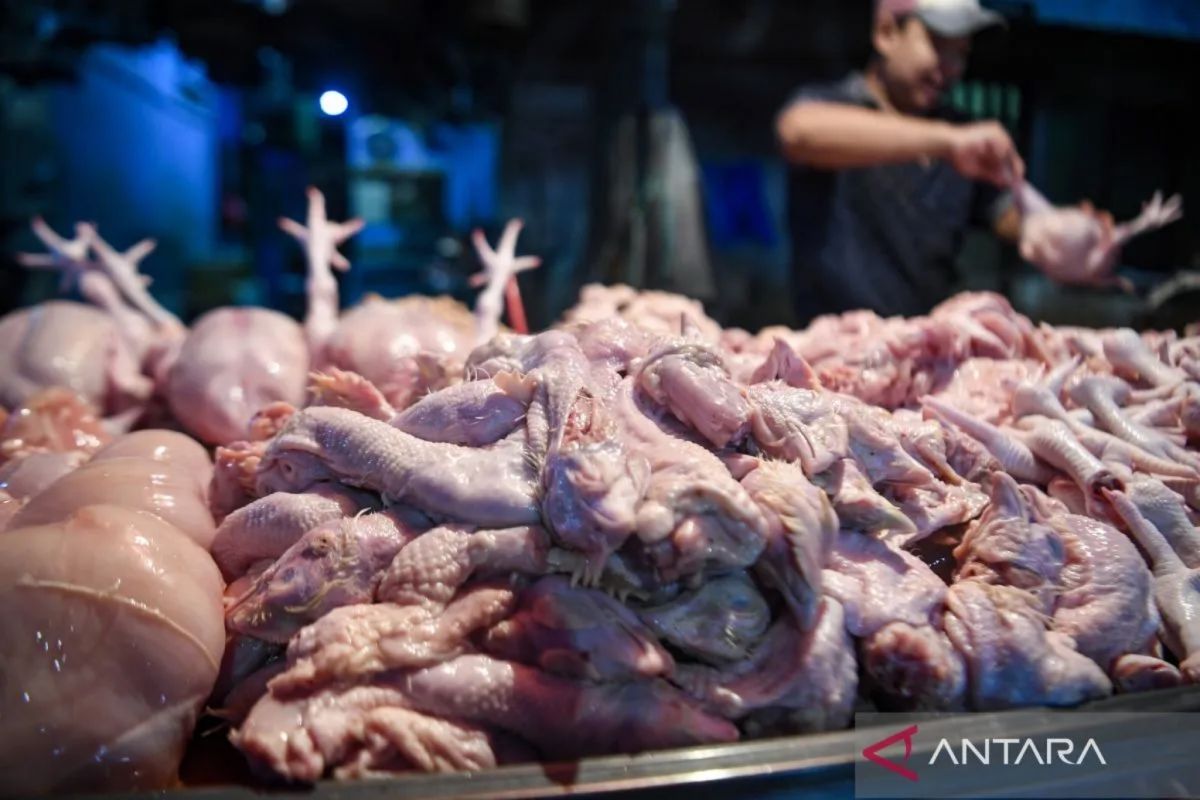 Harga cabai dan daging ayam picu kenaikan IPH selama Ramadhan