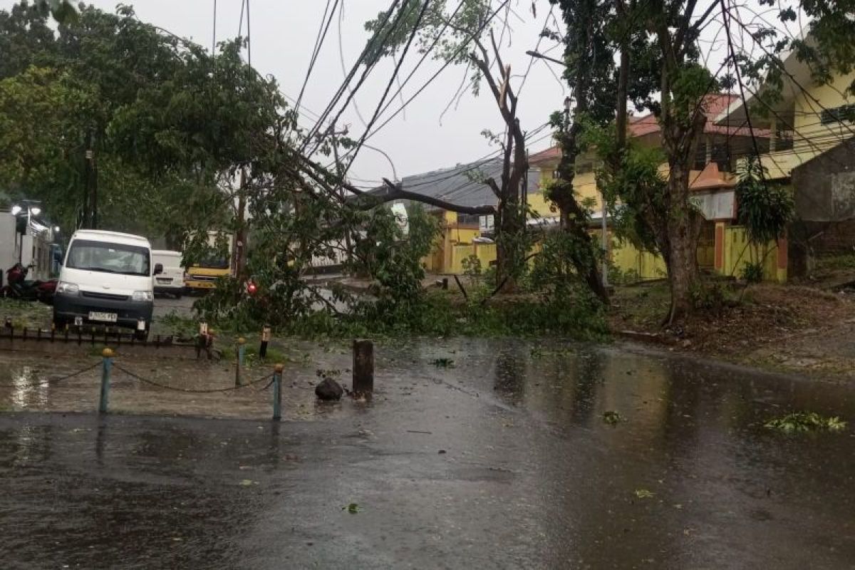 PLN bergerak cepat pulihkan listrik terdampak hujan dan angin kencang di pantura Jateng