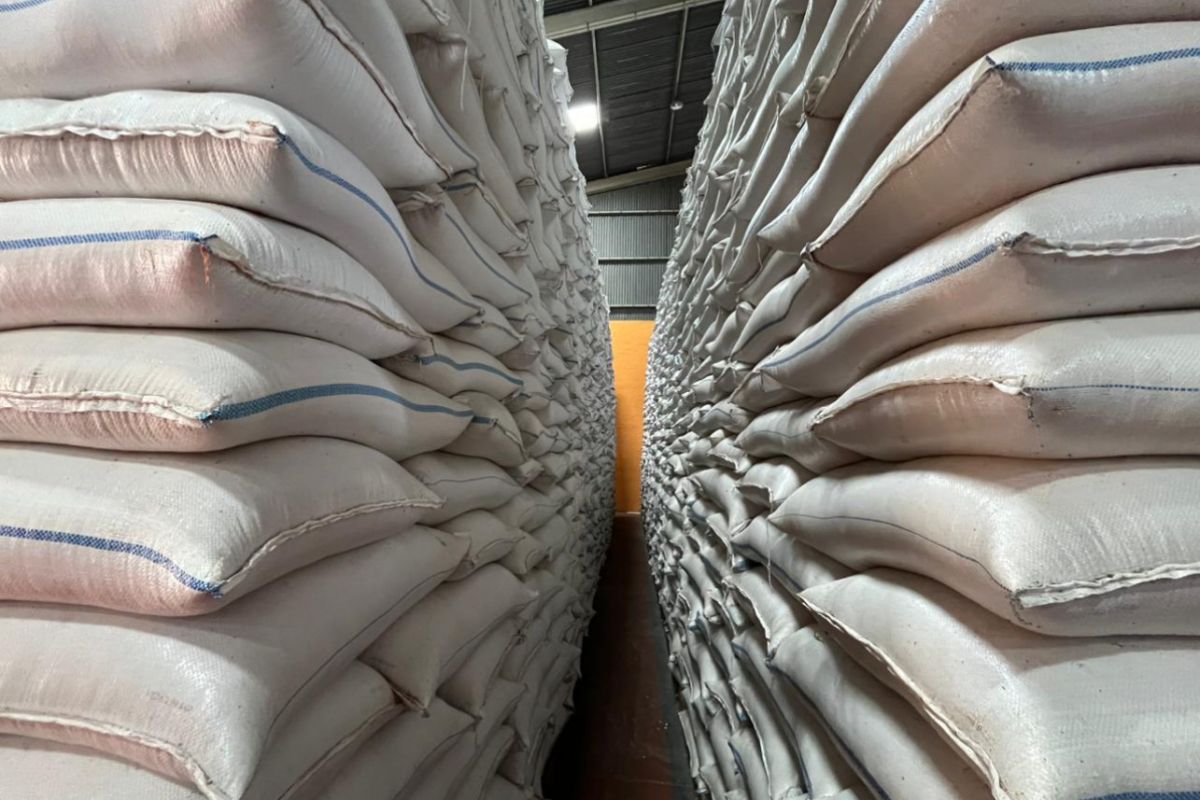 Bulog Yogyakarta memastikan stok bahan pokok aman hadapi Idul Fitri