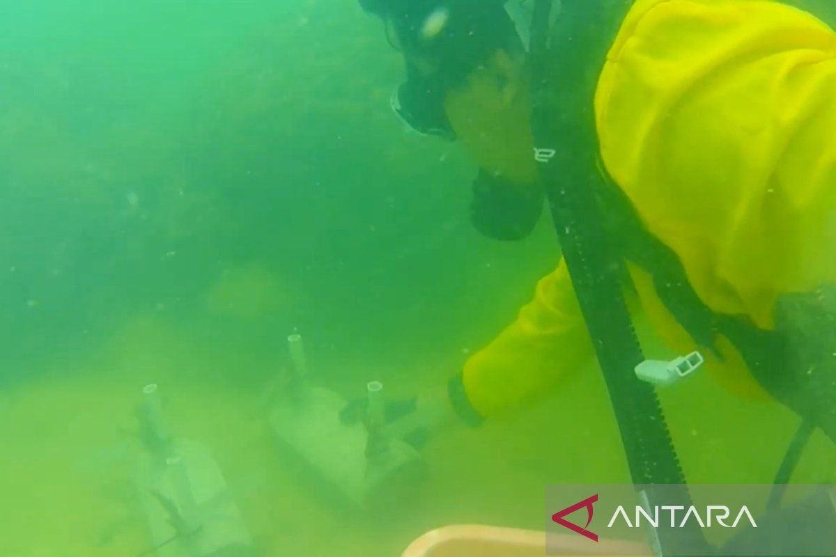 ULM laksanakan Bina Desa Berdampak mentransplantasi terumbu karang