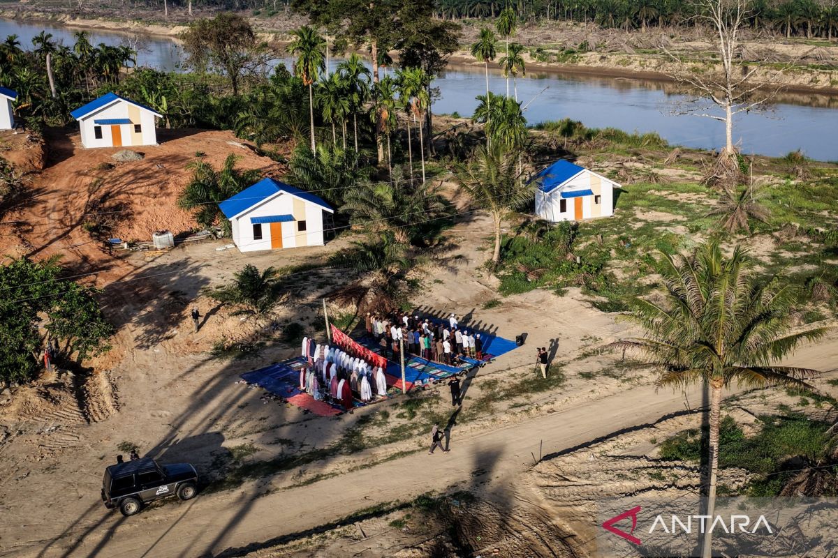 Kala pohon pinangjadi pengingat sujud penyintas bencana