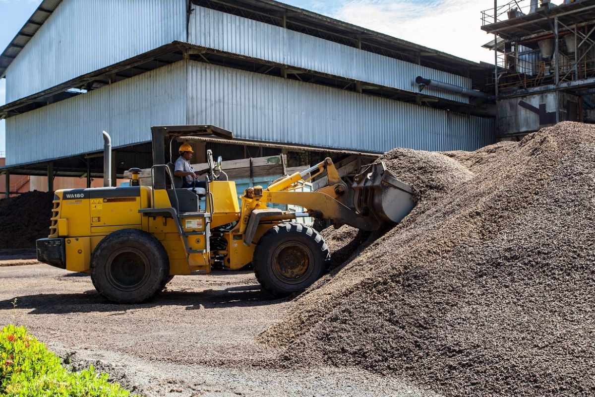IPB: Limbah kelapa sawit potensial jadi produk bernilai tambah