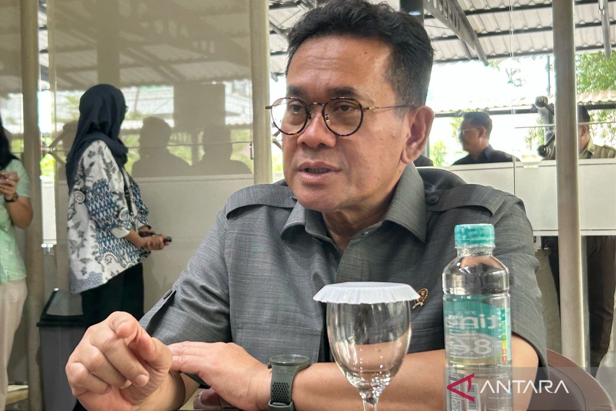 Pemerintah fokus diversifikasi impor untuk stabilitas pupuk