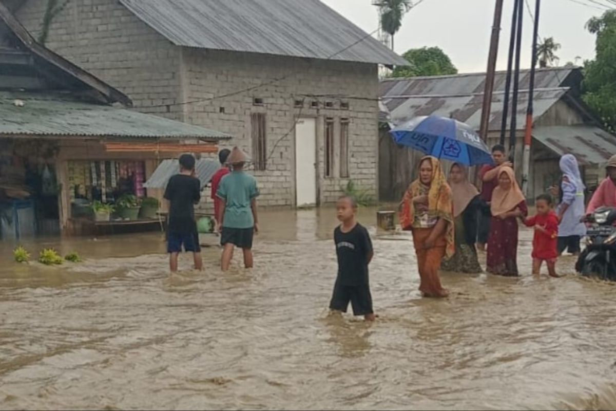 BPBD Sulteng: 552 rumah terdampak banjir di Balaesang dan Sirenja