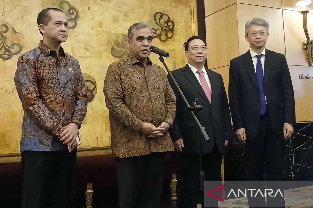 Kementrans sebut RI berpotensi pasok 3 miliar butir kelapa ke China