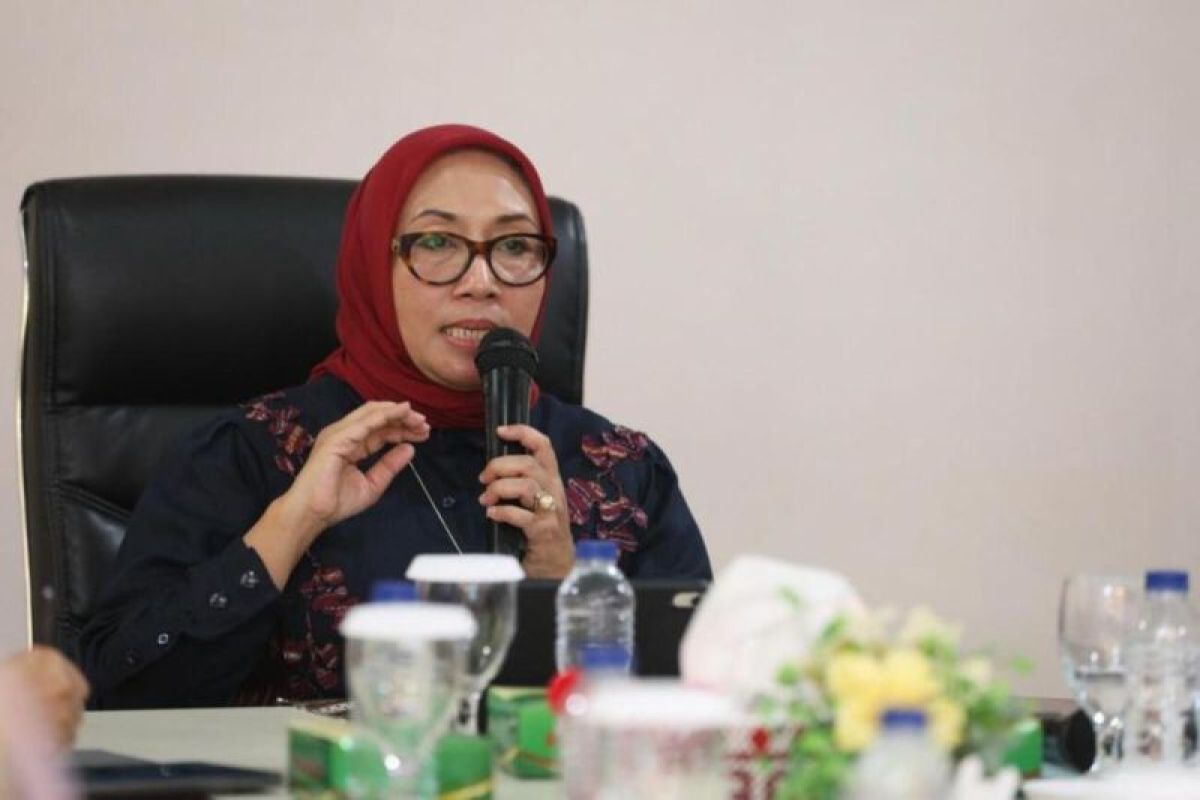 KemenPPPA koordinasi Pemprov Jabar dampingi korban penganiayaan berat