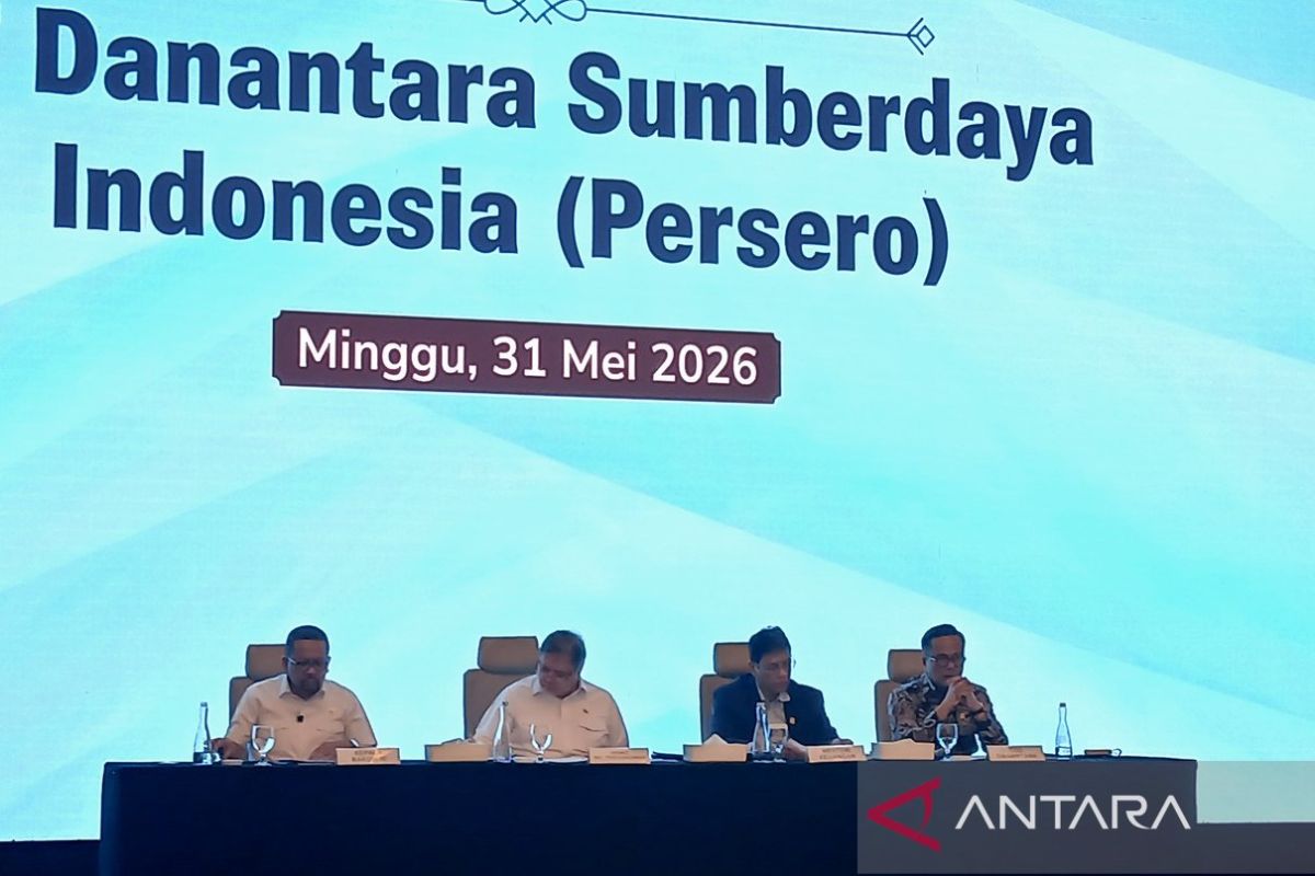 Pengamat: DSI jadi instrumen penguatan tata kelola ekspor SDA