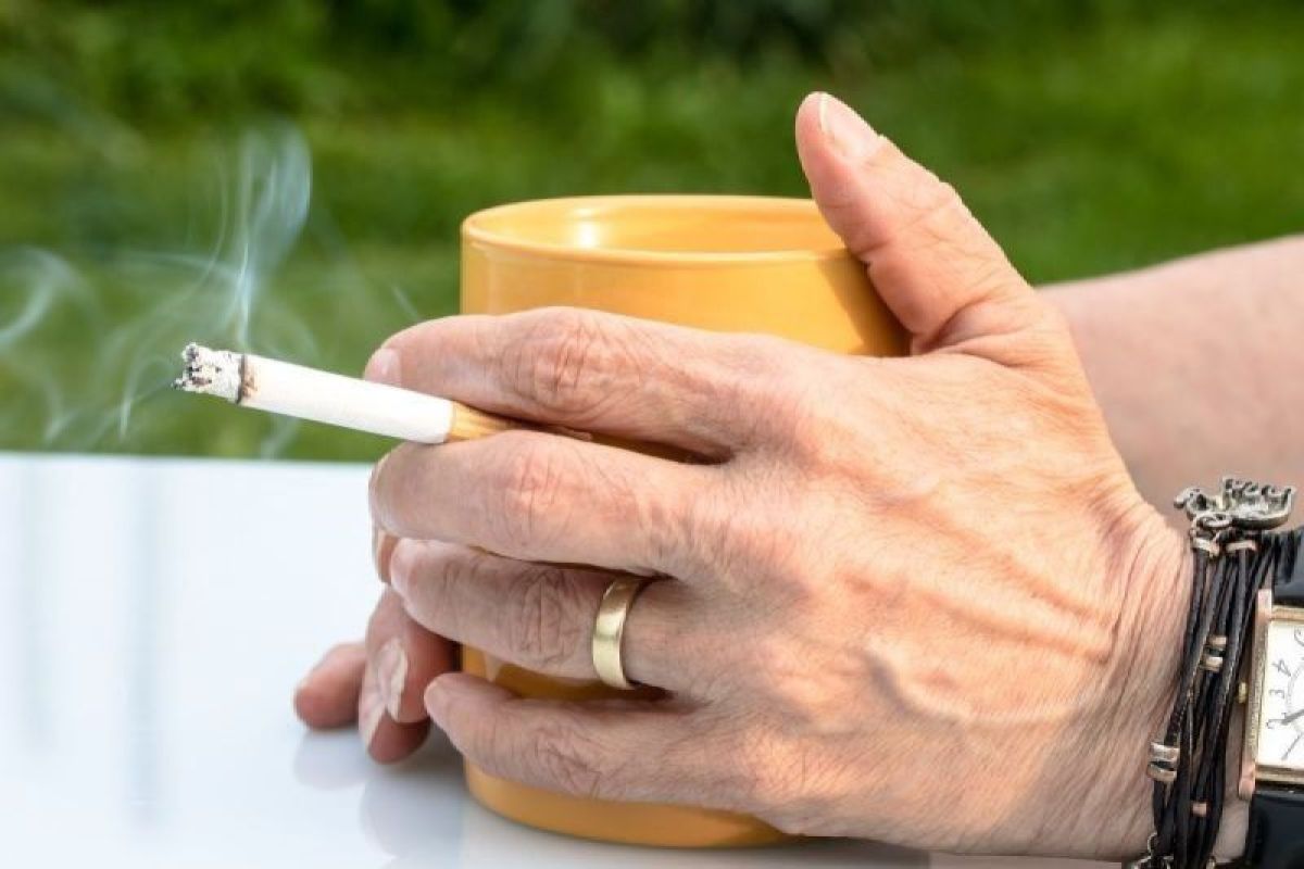 Muhammadiyah dorong label nonhalal pada rokok ke BPJPH lindungi publik