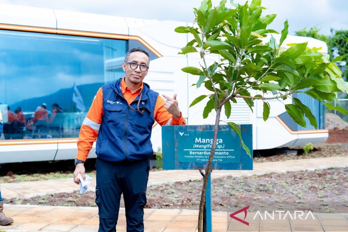 Vale Indonesia catat penjualan 2 juta ton bijih nikel semester I 2026