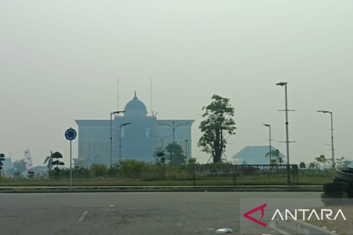Pekanbaru dan Pelalawan naikkan status jadi tanggap darurat karhutla