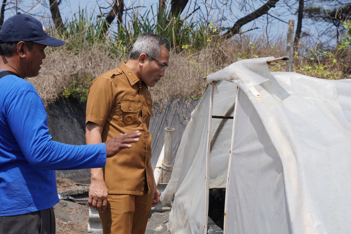 Pemkab Bantul Uji Coba Budi Daya Ikan Air Payau Bernilai Tinggi