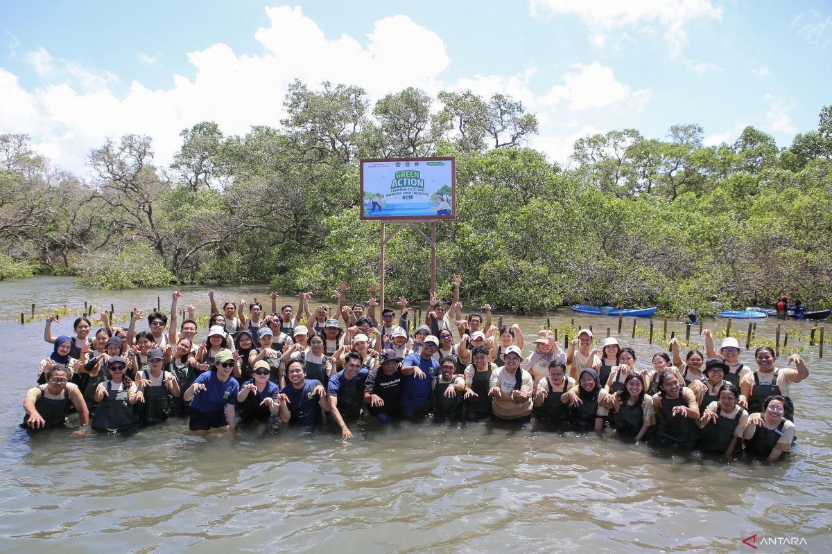BLDF inisiasi "Living Laboratory" mangrove dukung riset berkelanjutan