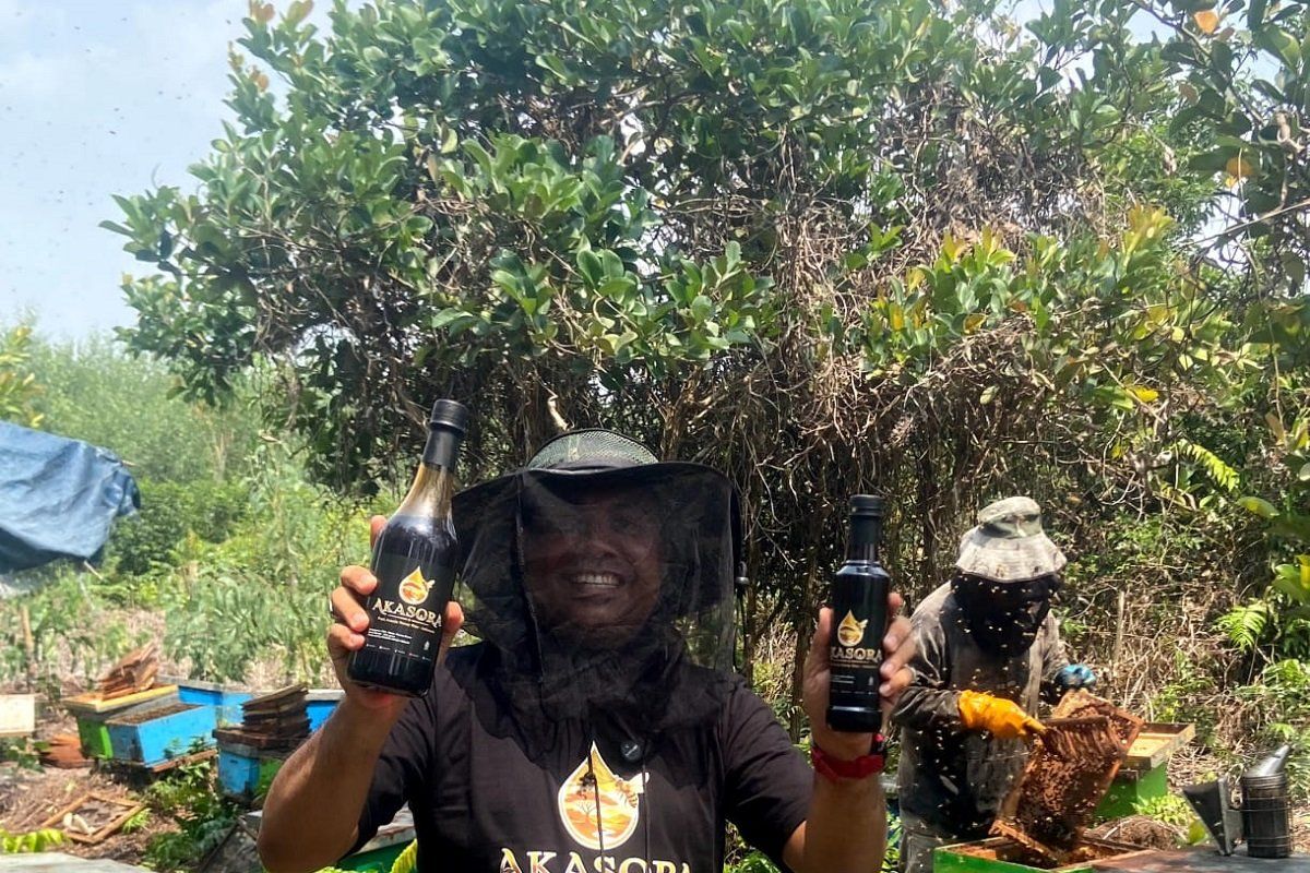 AKASORA Meluncur, Madu Premium Murni Hutan Akasia Riau Resmi Hadir